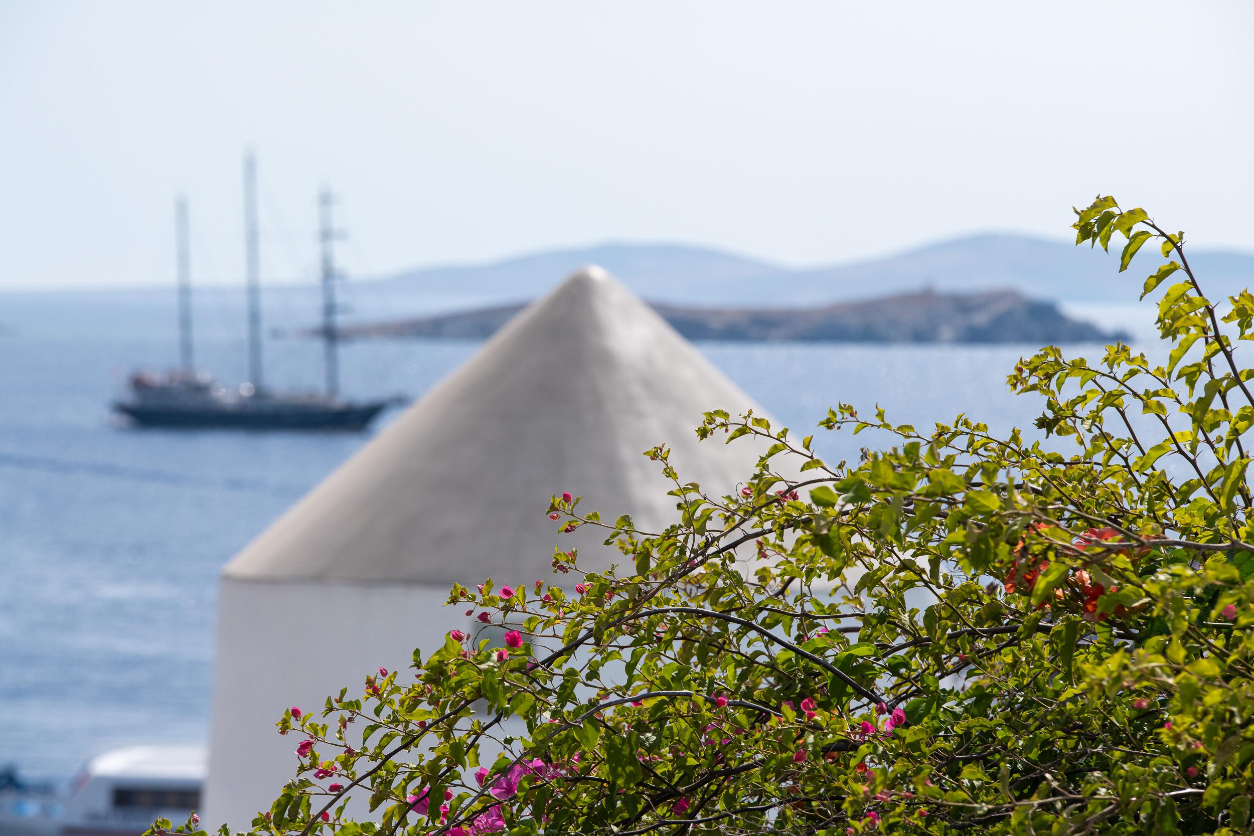 Porto Mykonos Hotel Mykonos Town Eksteriør billede