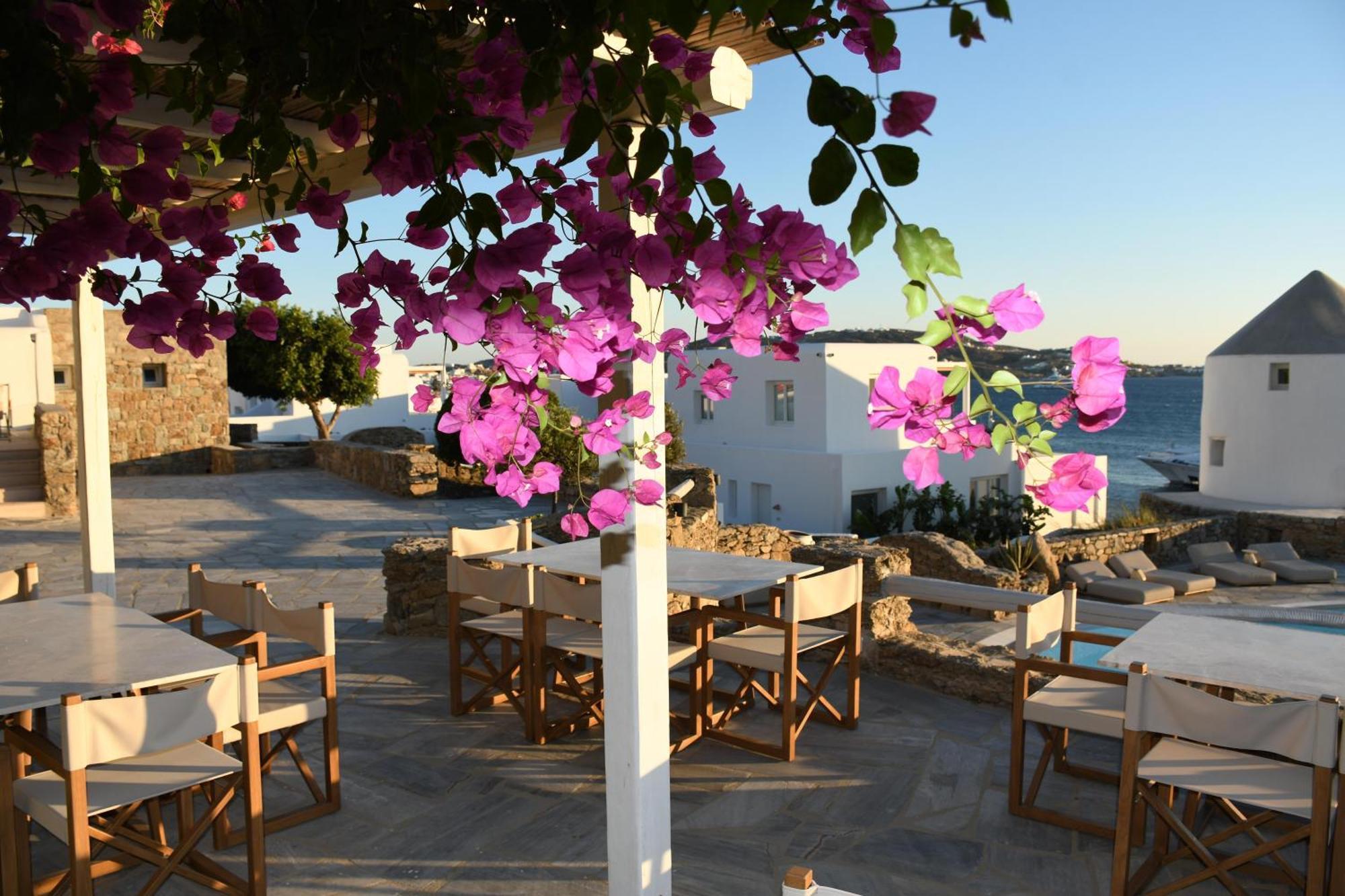 Porto Mykonos Hotel Mykonos Town Eksteriør billede